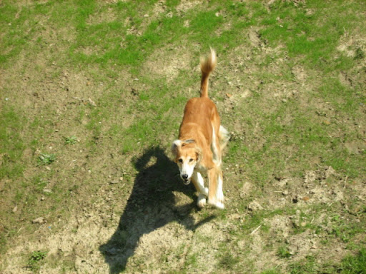 IMG_0278.JPG