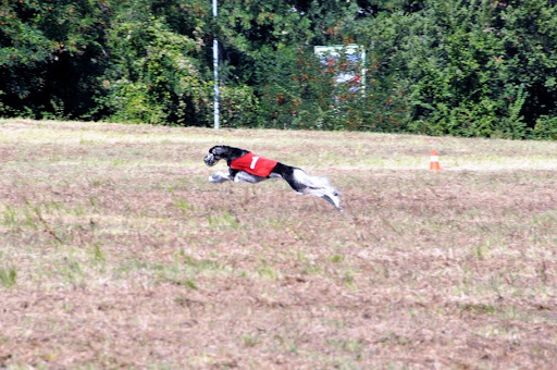 simbi%20coursing%207.jpg