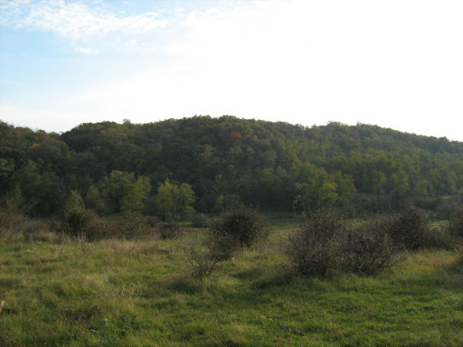 IMG_0972.JPG