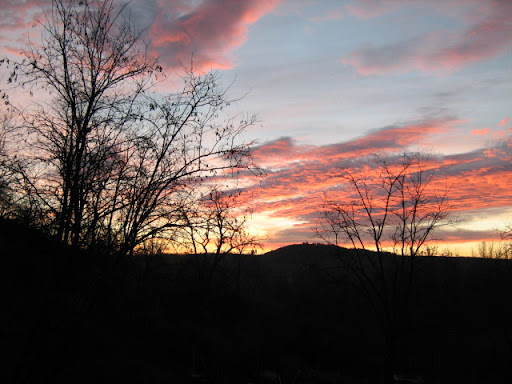 IMG_1705.JPG