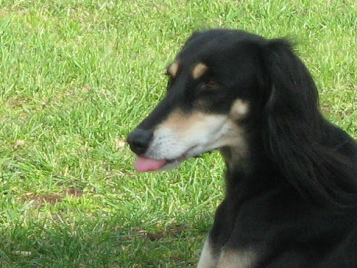 IMG_1708.JPG