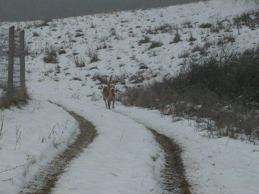 IMG_2615.JPG