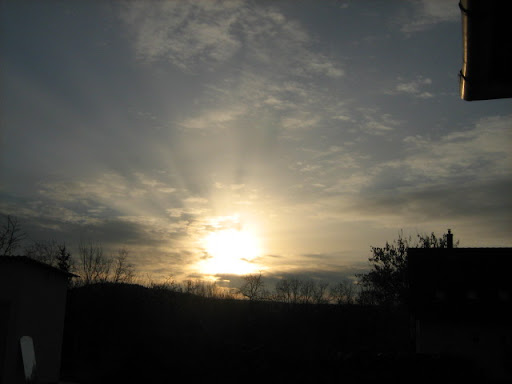 IMG_3778.JPG