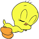 Piolin17.jpg