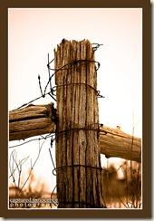 Wired Fence Post