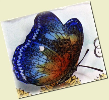 f4a24 butterfly