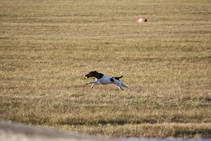 IMG_2741.JPG