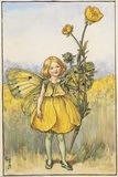[buttercup fairy[3].jpg]