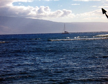 Hawaii_2010 238