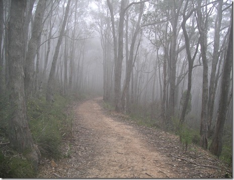 Mt Lofty Trail in the clouds