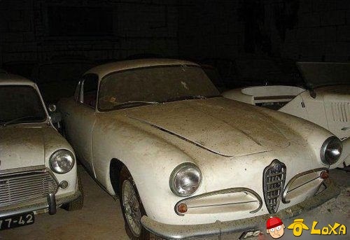 dusty-rare-car-collection-2-13