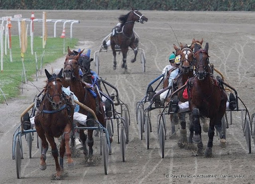 Courses chevaux 68.jpg