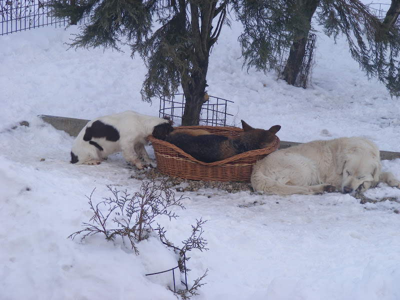 DSCF2171.JPG