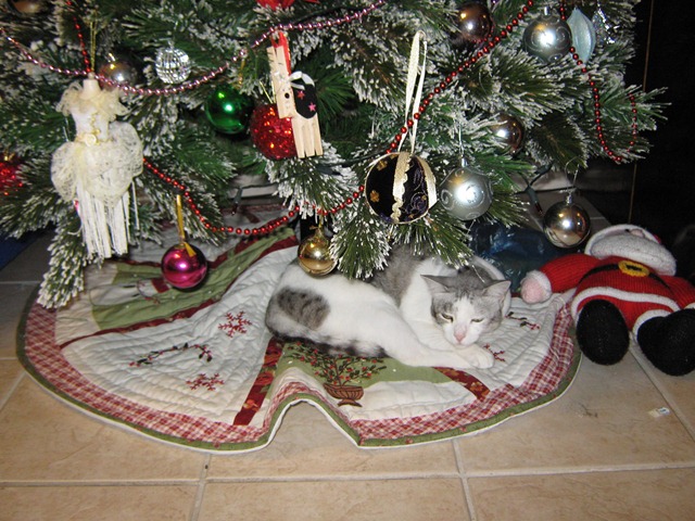 [Linda 6 - christmas to sumo suit 211[7].jpg]