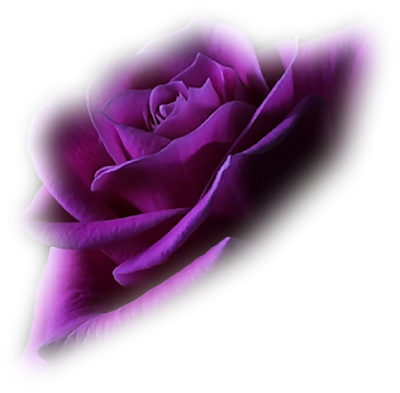 213a.png