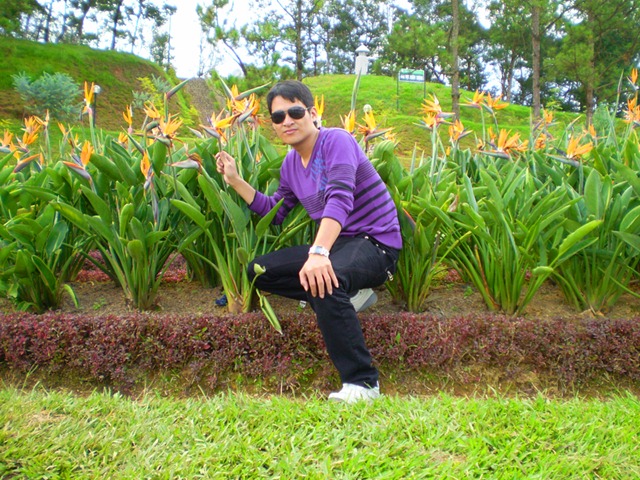 [12350274650141_yume_photo[3].jpg]