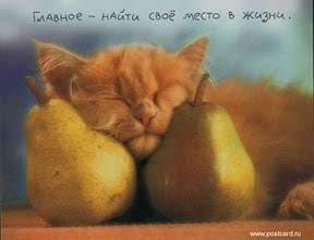 народ уже волнуется, и я угрызаюсь