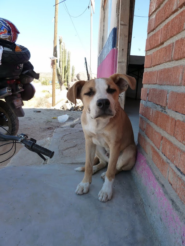 P1010853.JPG