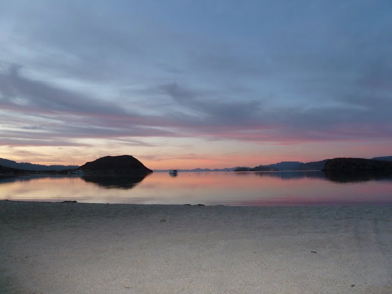 P1020018.JPG
