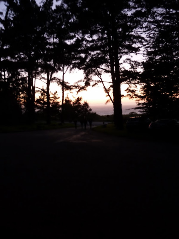 P1010510.JPG
