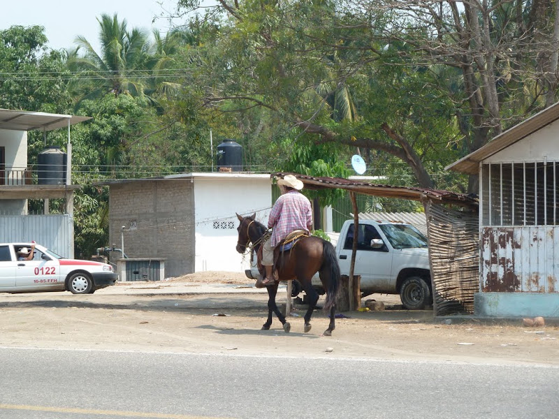 P1020225.JPG