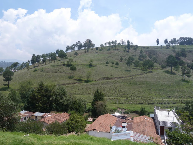 P1020387.JPG