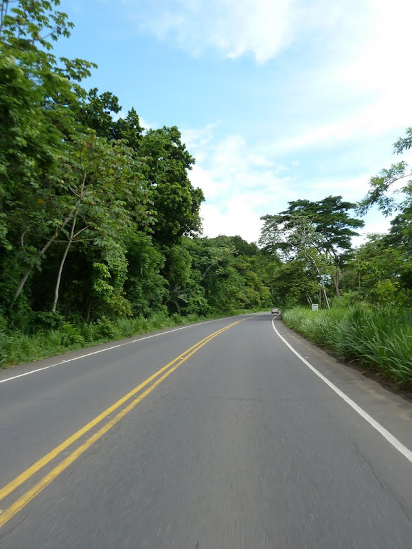 P1030029.JPG