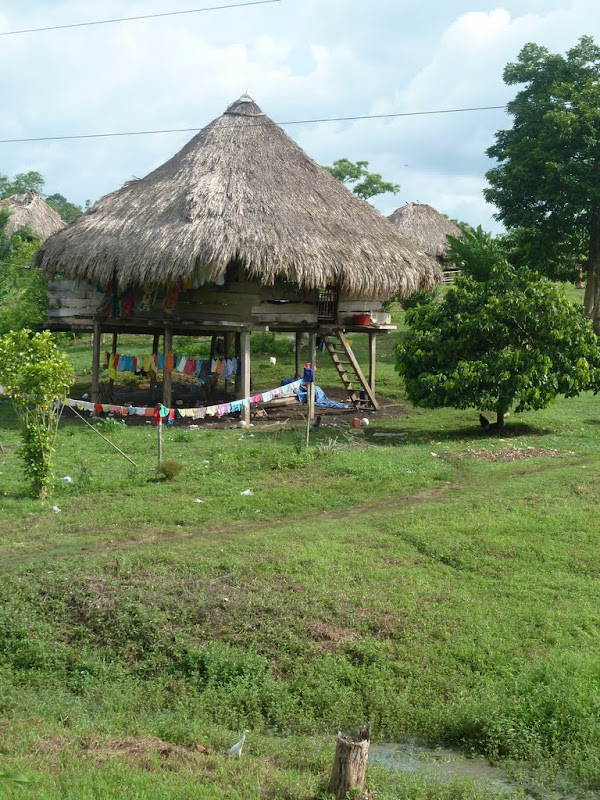 P1030239.JPG