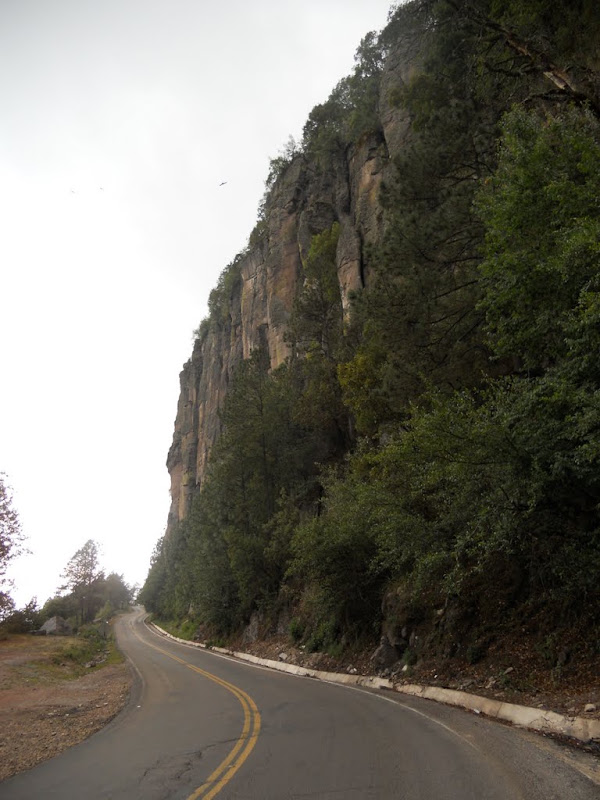 DSCN0390.JPG