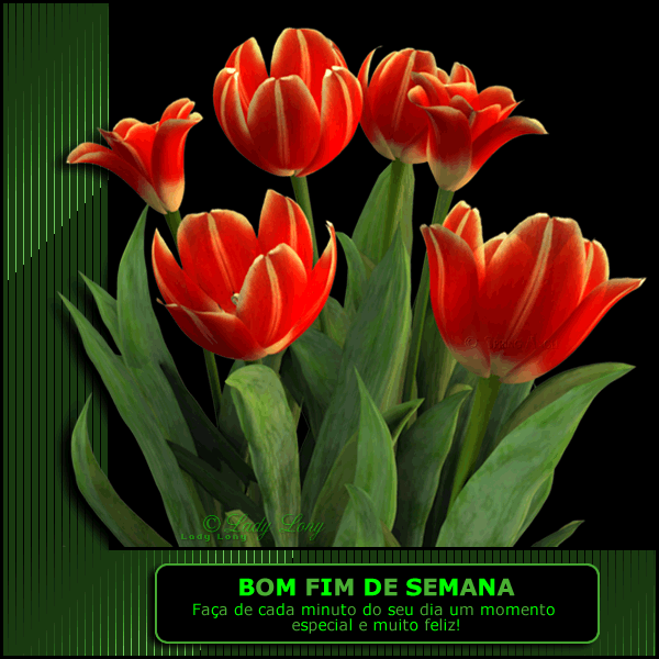 LONY29..png