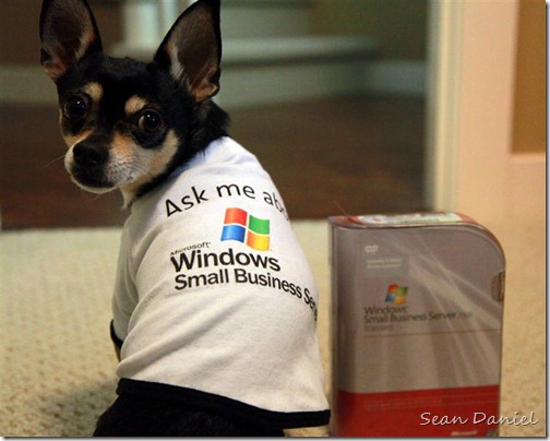 Ask Chico about Windows Small Business Server!