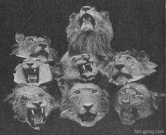 [frontispiece[2].jpg]