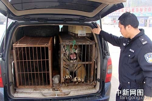 [p_large_q8hY_5687k206099[2].jpg]