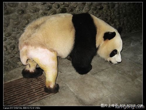 [20093131737547[2].jpg]