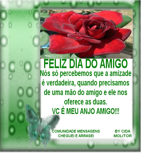 AMIGO5.jpg