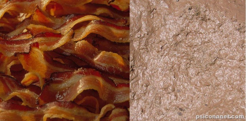 [bacon com barro[8].jpg]