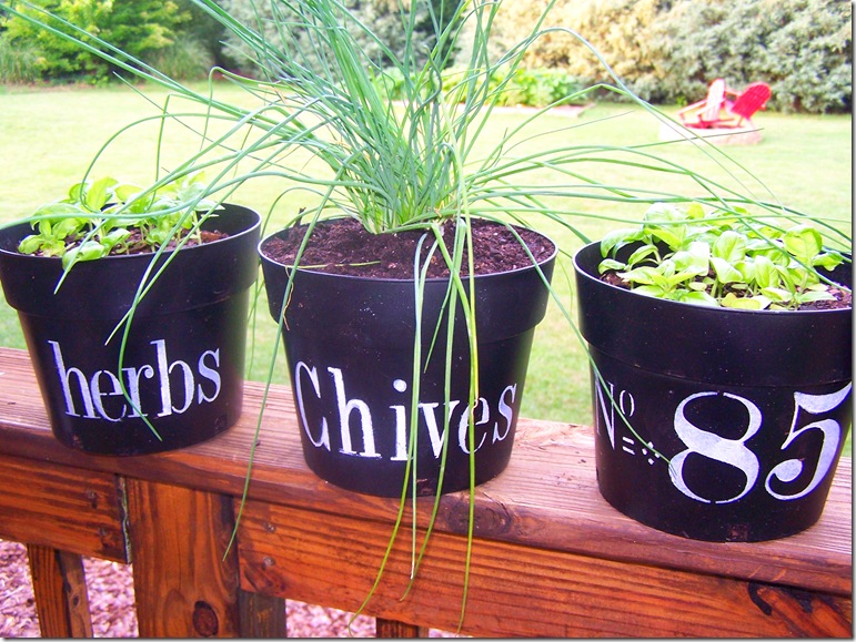 Flower Pots with Chives 015