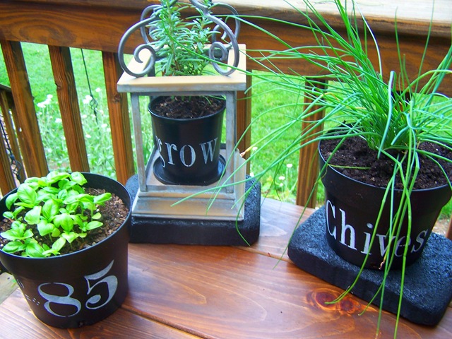 [Flower Pots with Chives 022.jpg]