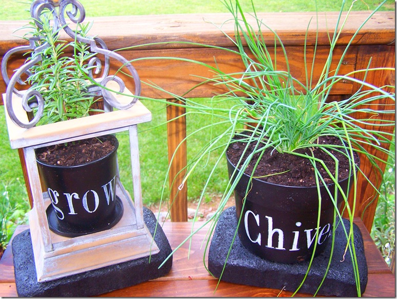 Flower Pots with Chives 027