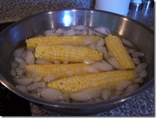 Corn 023