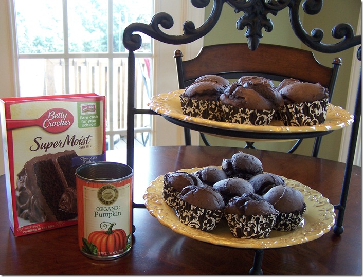 Low Cal Chocolate Muffins 004