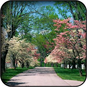 Garden Wallpapers 5.0