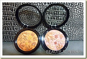 The Body Shop Autumn Smoke & Fire 2010 Collection Pressed Powder Compact in Chestnut and Berry