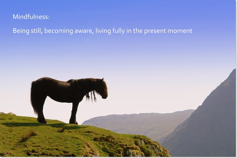 mindfulness is being still, becoming aware, living fully in the present moment