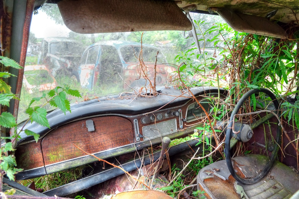 [interior of old car being reclaimed by nature[9].jpg]