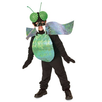 [bug-eyed-bug-costume-halloween-craft-photo-420-FF1005COSTA08[4].jpg]