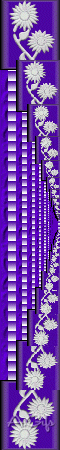 feedback1.gif