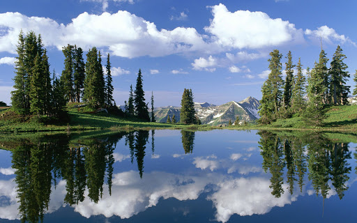 FGHJ 50006 40 Wallpapers Naturaleza Preciosos alta calidad(1920x1200)