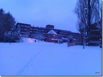 Exeter Uni@ 7am. 20 Dec2010, a date to remember, heaviest & thickest snow I have ever encountered in the UK thus far.