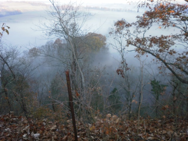 [indian ridge fog 017[2].jpg]